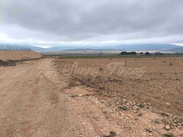 Imagen 4 de Suelo urbanizable en Venta en Yecla Murcia