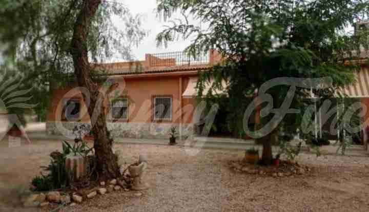 Imagen 1 de Casa-Chalet en Venta en Elche Alicante