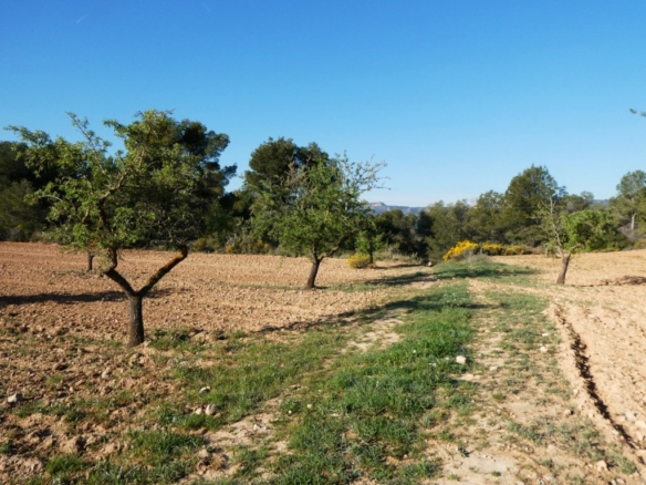 Imagen 2 de Suelo rústico en Venta en Batea Tarragona
