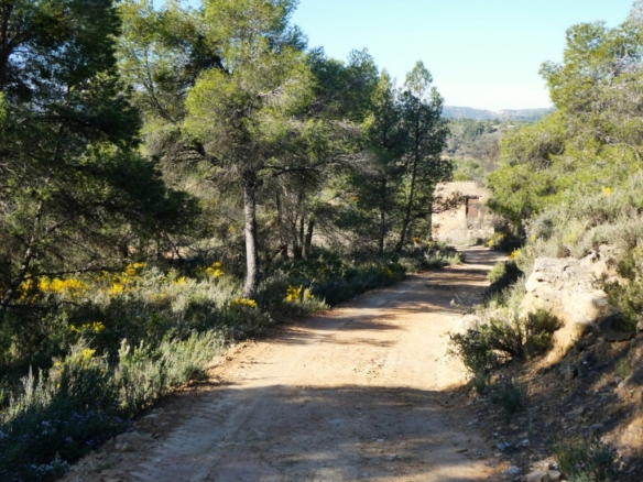 Imagen 3 de Suelo rústico en Venta en Batea Tarragona