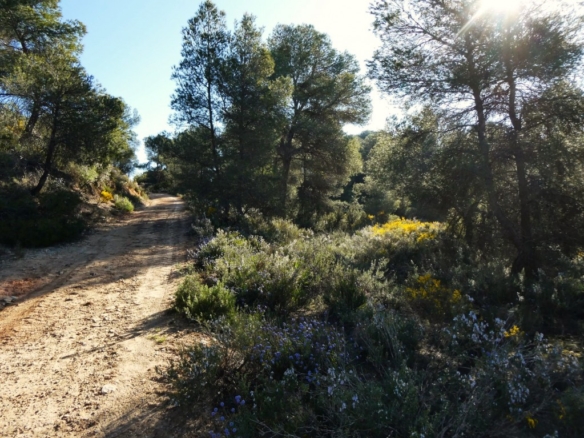 Imagen 4 de Suelo rústico en Venta en Batea Tarragona