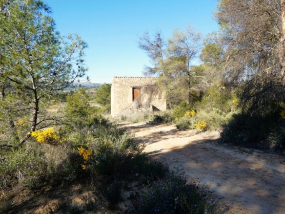 Imagen 1 de Suelo rústico en Venta en Batea Tarragona