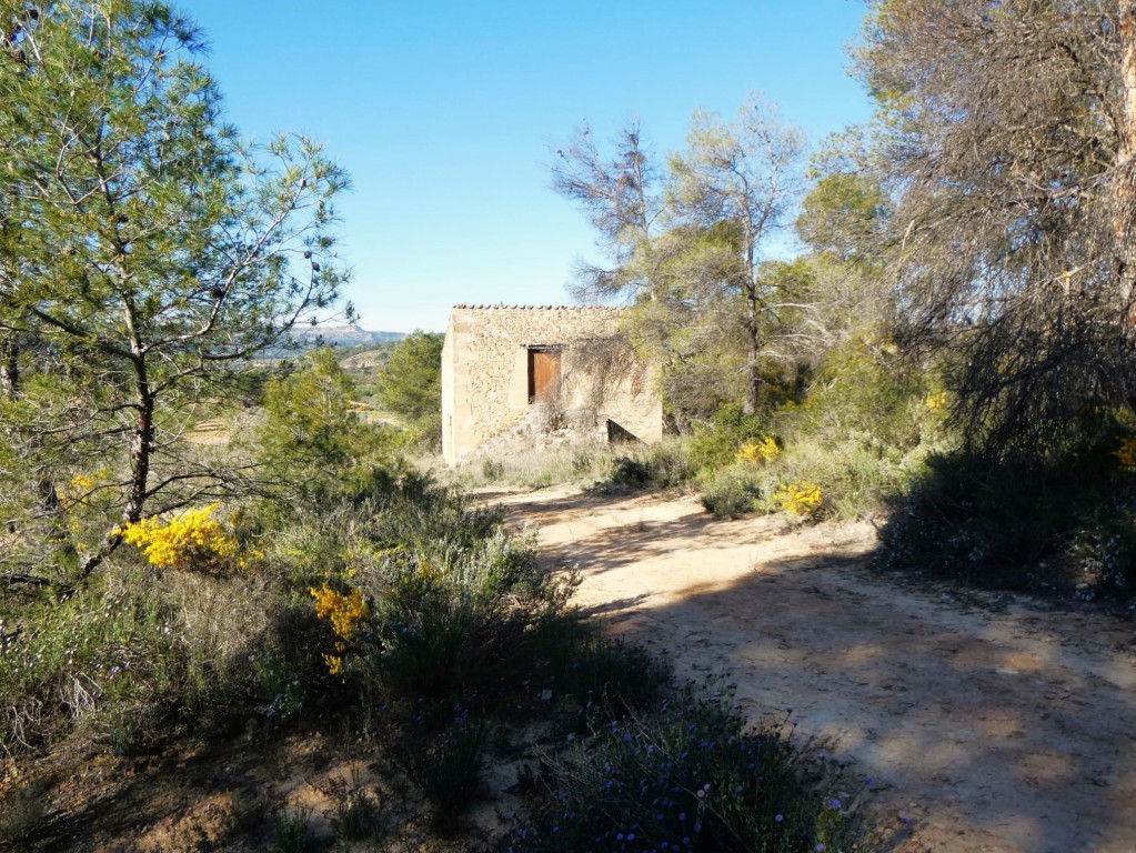 Imagen 1 de Suelo rústico en Venta en Batea Tarragona