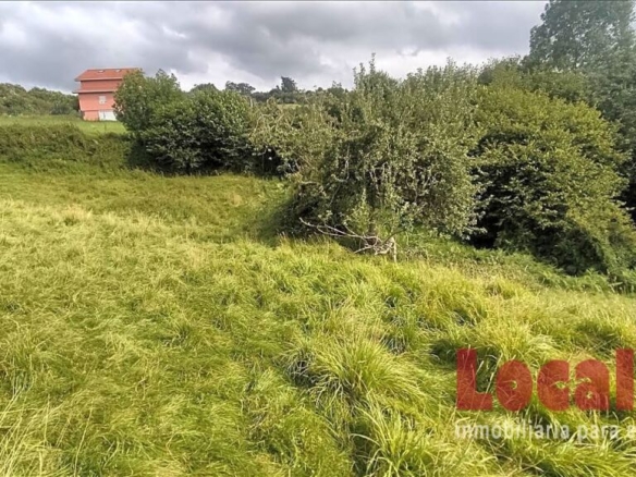 Imagen 2 de Extenso suelo urbano Limpias