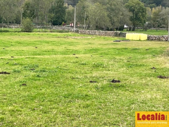 Imagen 3 de Interesante suelo urbano de 8 mil m² en Ruente