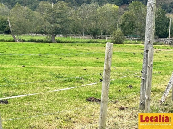 Imagen 4 de Interesante suelo urbano de 8 mil m² en Ruente