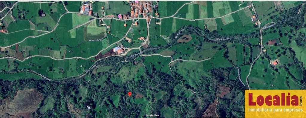 Imagen 4 de FINCA RÚSTICA CON CABAÑA EN LLAOS (RUENTE)