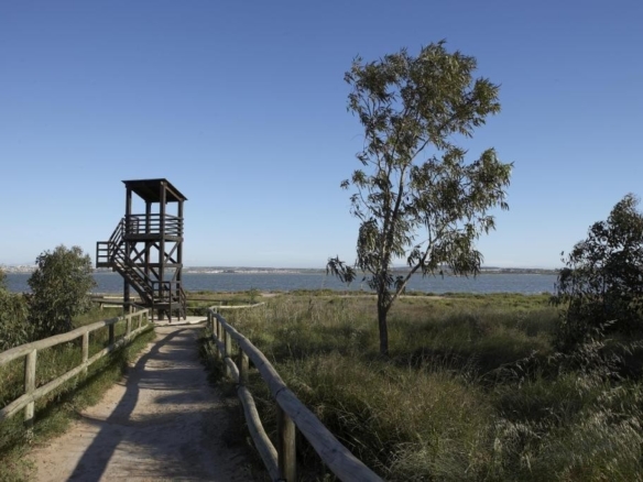 Imagen 4 de Residencial de obra nueva en Torrevieja a 1 km del Mar