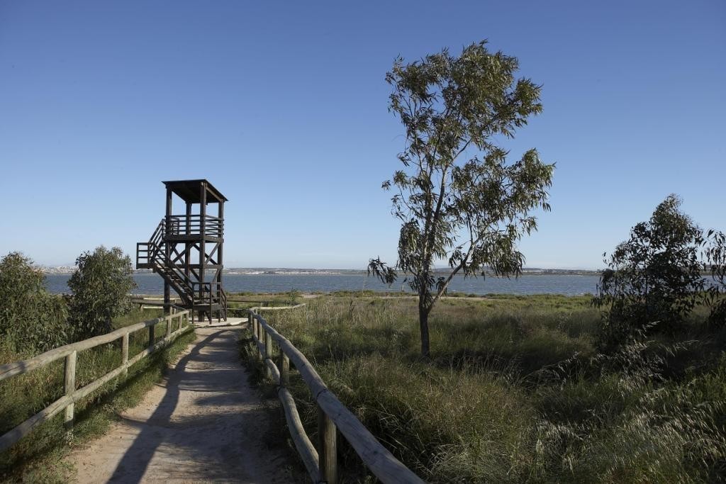Imagen 4 de Residencial de obra nueva en Torrevieja a 1 km del Mar