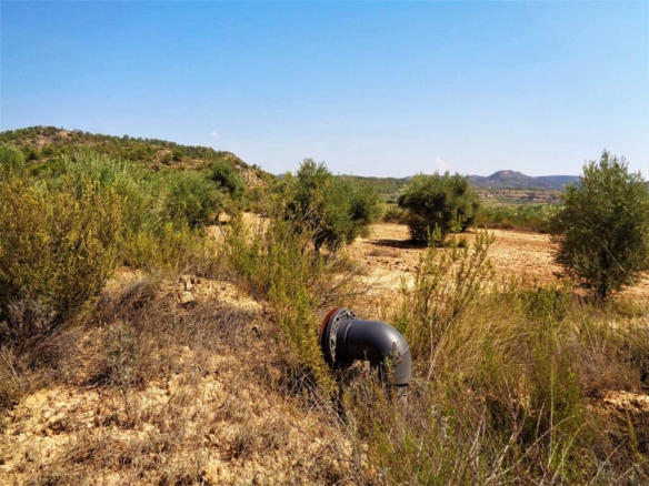 Imagen 3 de Suelo rústico en Venta en Batea Tarragona