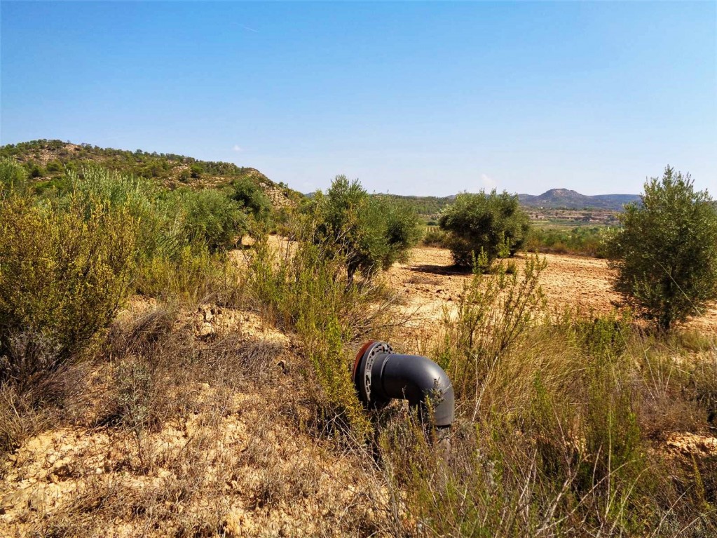 Imagen 3 de Suelo rústico en Venta en Batea Tarragona