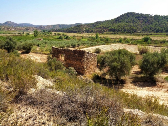 Imagen 1 de Suelo rústico en Venta en Batea Tarragona