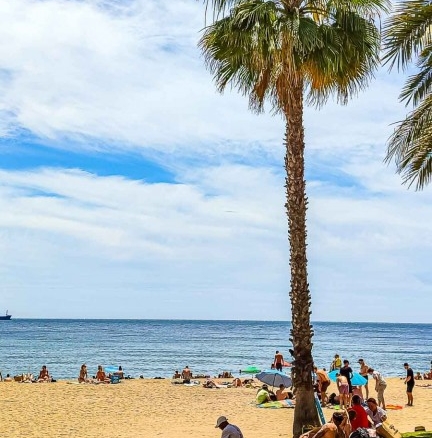 Imagen 1 de Piso en Venta en Málaga Málaga LA MALAGUETA