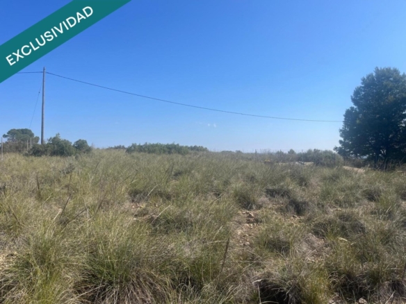 Imagen 3 de Finca rústica de 7.300 m² situada a tan solo 7 minutos de Almansa