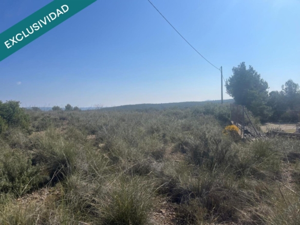 Imagen 4 de Finca rústica de 7.300 m² situada a tan solo 7 minutos de Almansa