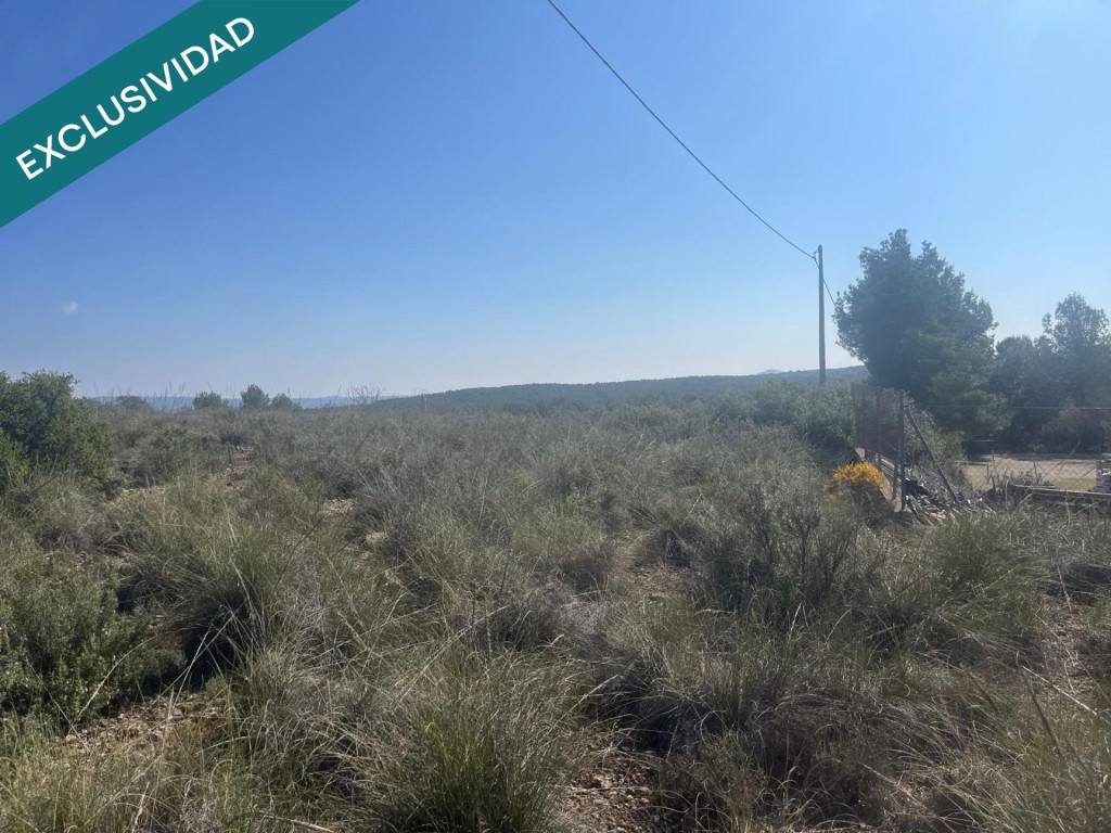 Imagen 4 de Finca rústica de 7.300 m² situada a tan solo 7 minutos de Almansa