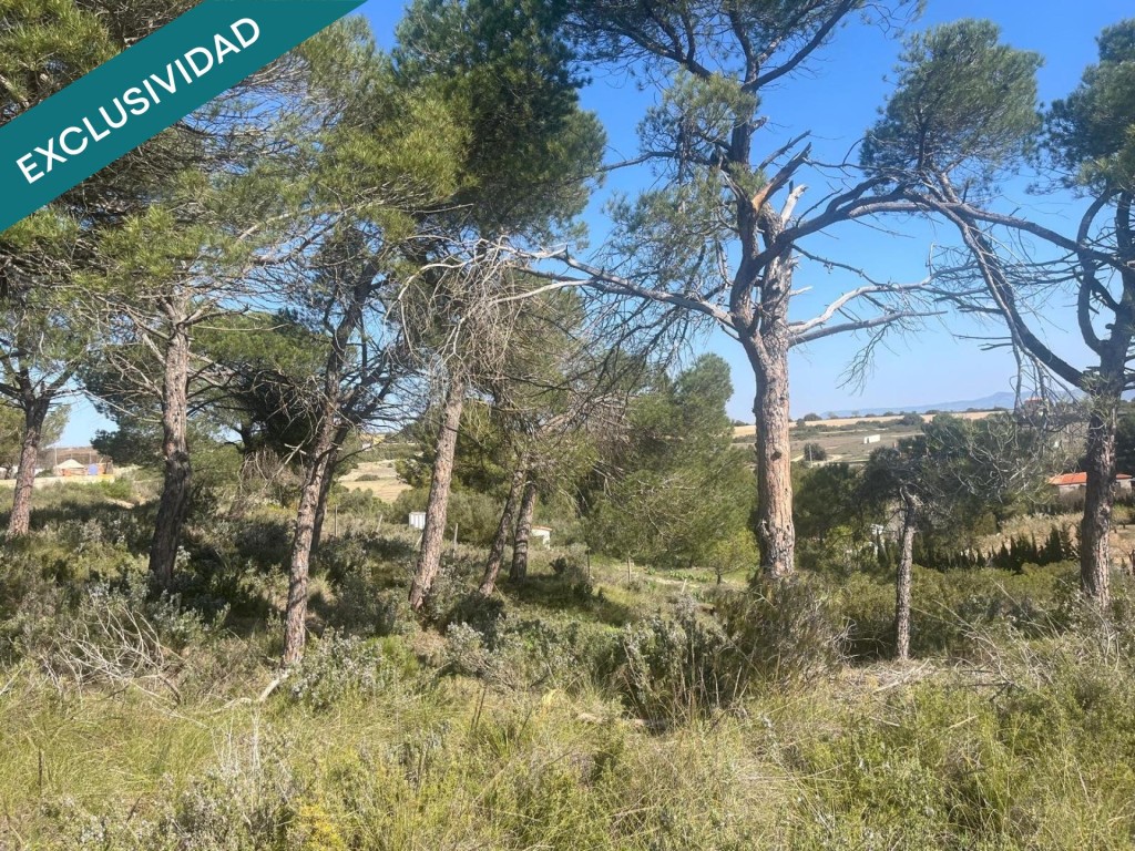 Imagen 1 de Finca rústica de 7.300 m² situada a tan solo 7 minutos de Almansa