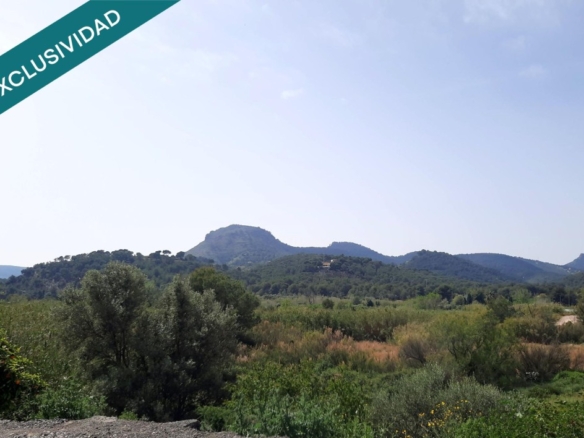 Imagen 3 de Bonito chalet en Albalat dels Tarongers