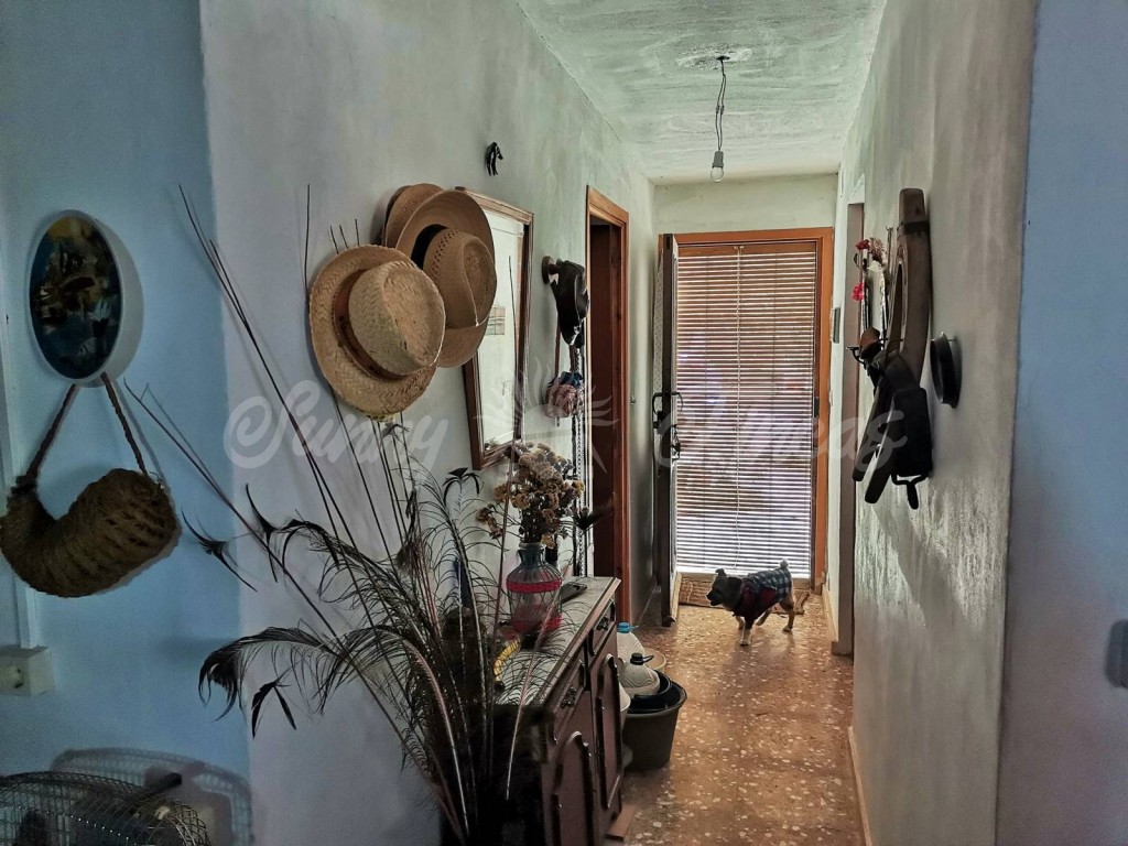 Imagen 3 de Casa de campo-Masía en Venta en Yecla Murcia