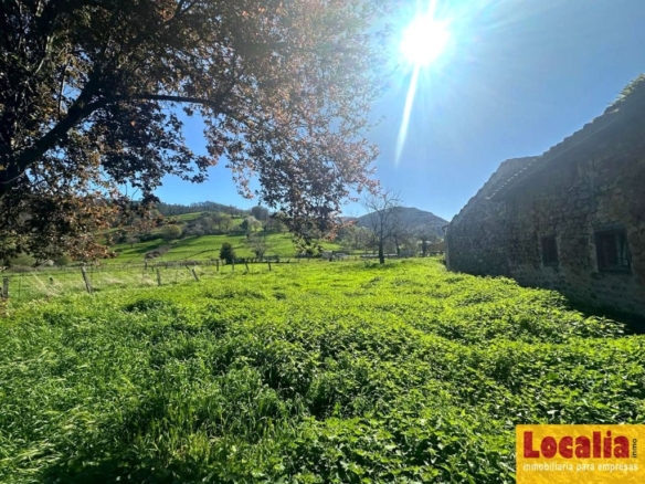 Imagen 2 de Cuatro fincas en venta