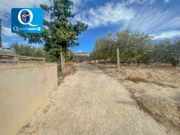 po-1259319-imagen - El Club del Propietario Imagen 1 de Casa de campo-Masía en Venta en Mutxamel Alicante Ref: 0025307