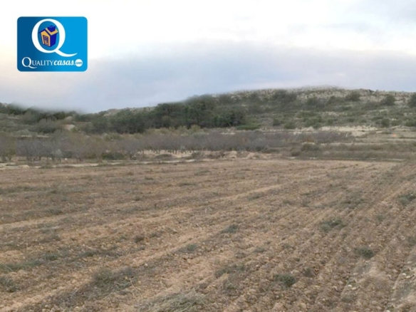 Imagen 2 de Suelo rústico en Venta en Elche Alicante Ref: 58037