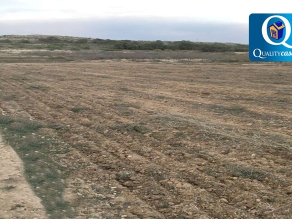 Imagen 1 de Suelo rústico en Venta en Elche Alicante Ref: 58037