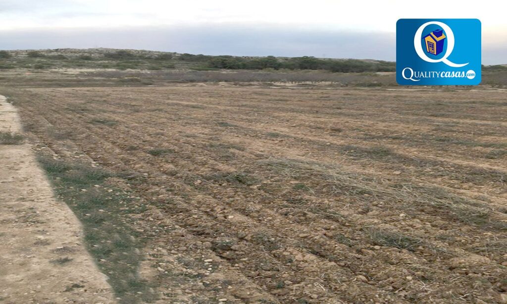 Imagen 1 de Suelo rústico en Venta en Elche Alicante Ref: 58037