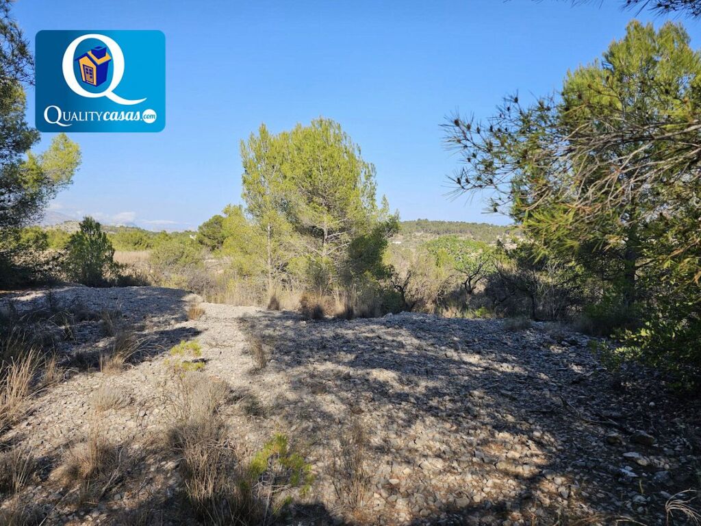 Imagen 2 de Suelo rústico en Venta en Polop Alicante Ref: MNFK3023