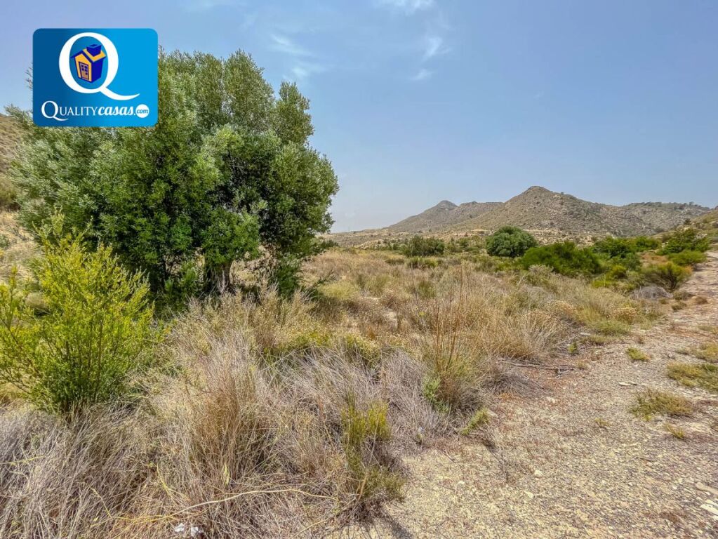 Imagen 1 de Casa de campo-Masía en Venta en Xixona Alicante Ref: K3169
