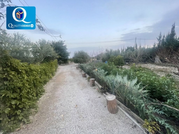 Imagen 2 de Suelo rústico en Venta en Mutxamel Alicante Ref: 18414R