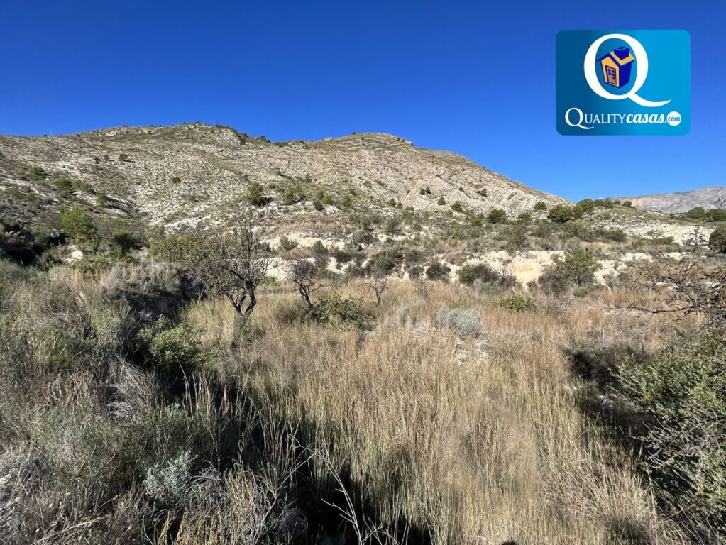 Imagen 1 de Suelo rústico en Venta en Orxeta Alicante Ref: K3166R