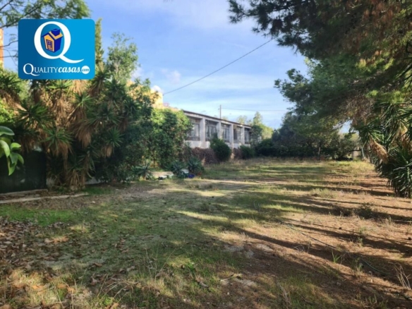 Imagen 4 de Local comercial en Venta en Tangel Alicante Ref: 58007