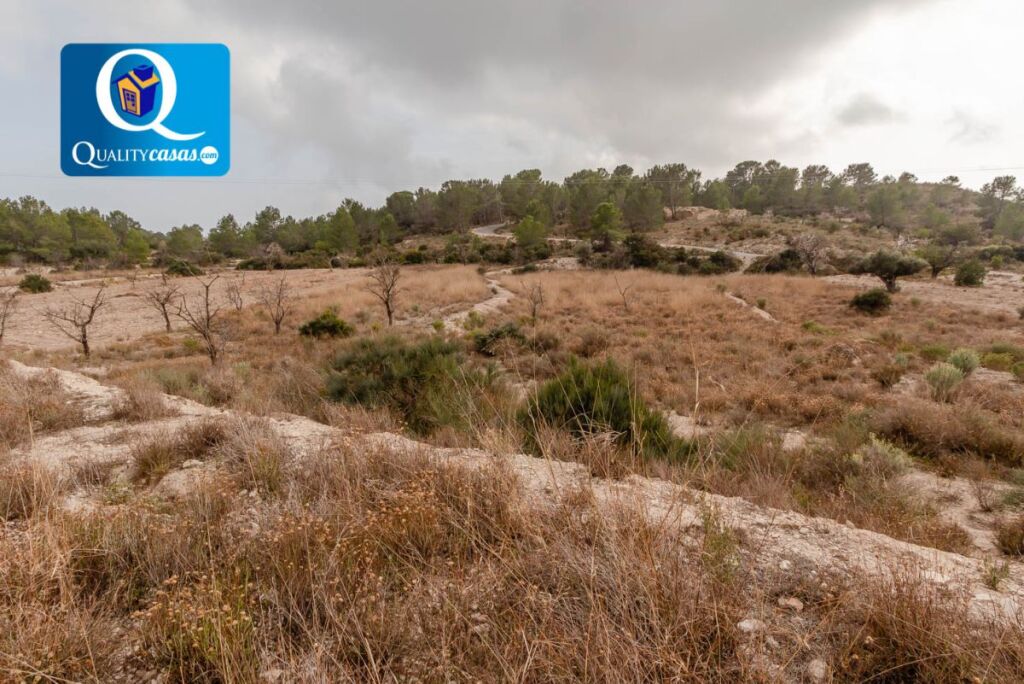 Imagen 3 de Suelo rústico en Venta en Aguas de Busot Alicante Ref: 18281