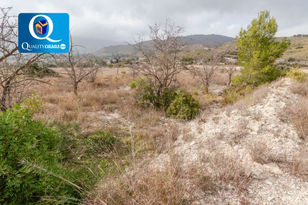 Imagen 4 de Suelo rústico en Venta en Aguas de Busot Alicante Ref: 18281