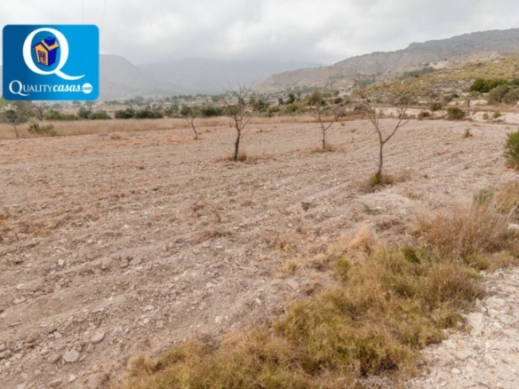 Imagen 1 de Suelo rústico en Venta en Aguas de Busot Alicante Ref: 18281