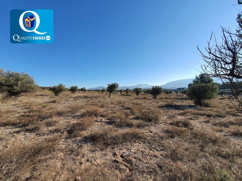 Imagen 2 de Solar industrial en Venta en Elda Alicante Ref: K3243FF