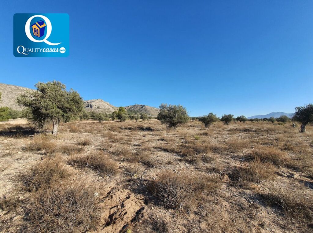 Imagen 3 de Solar industrial en Venta en Elda Alicante Ref: K3243FF