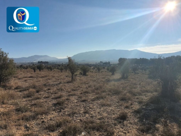 Imagen 4 de Solar industrial en Venta en Elda Alicante Ref: K3243FF
