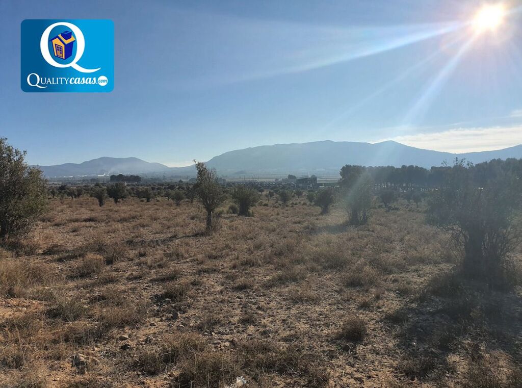 Imagen 4 de Solar industrial en Venta en Elda Alicante Ref: K3243FF