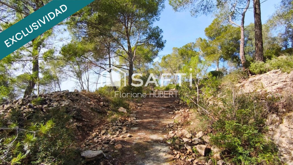 Imagen 1 de TERRENO DE 2705M2 EDIFICABLE EN CERVELLO.