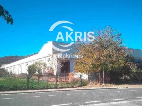 Imagen 2 de Nave Industrial en Noez