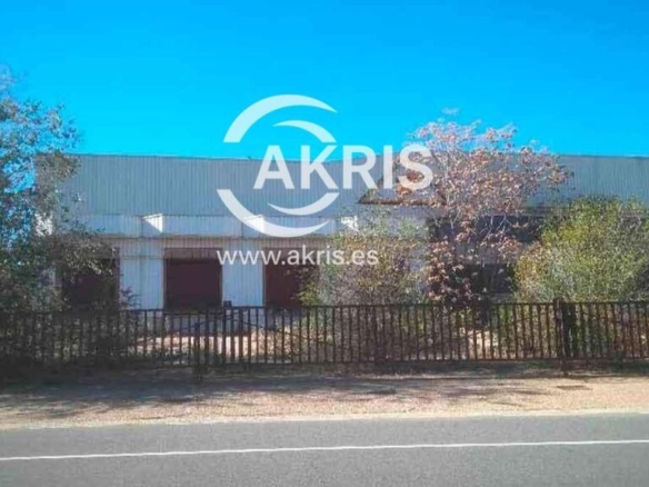 Imagen 1 de Nave Industrial en Noez