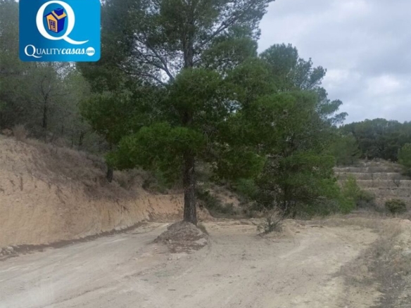 Imagen 2 de Piso en Venta en Xixona Alicante Ref: 25513R