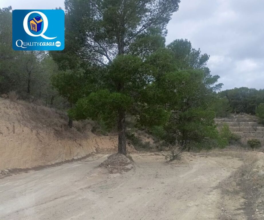 Imagen 2 de Piso en Venta en Xixona Alicante Ref: 25513R