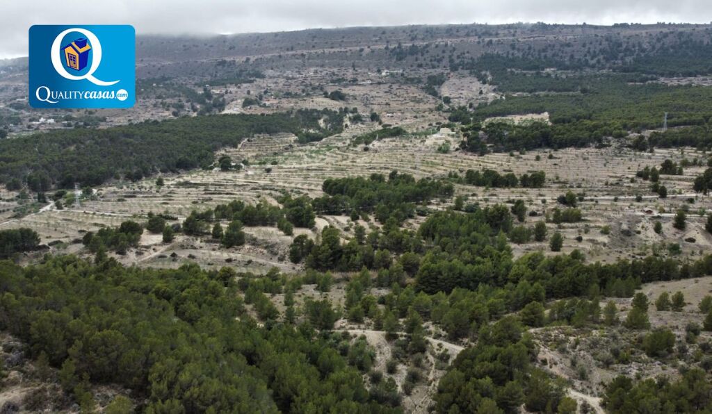 Imagen 3 de Piso en Venta en Xixona Alicante Ref: 25513R