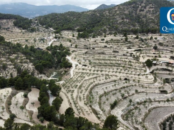 Imagen 4 de Piso en Venta en Xixona Alicante Ref: 25513R