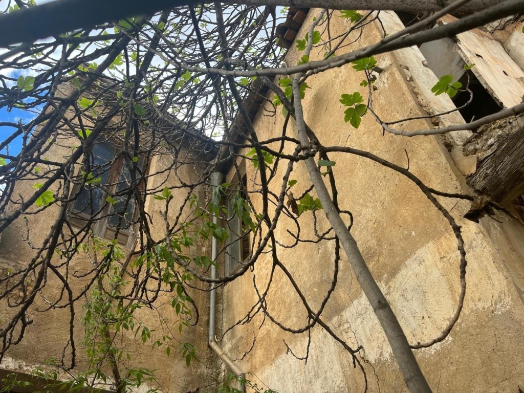 Imagen 4 de OPORTUNIDAD EN EL CENTRO DE ALMANSA: IDEAL INVERSIÓN O VIVIENDA A MEDIDA