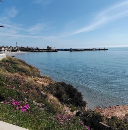 Imagen 2 de Piso en Venta en Pilar De La Horadada Alicante