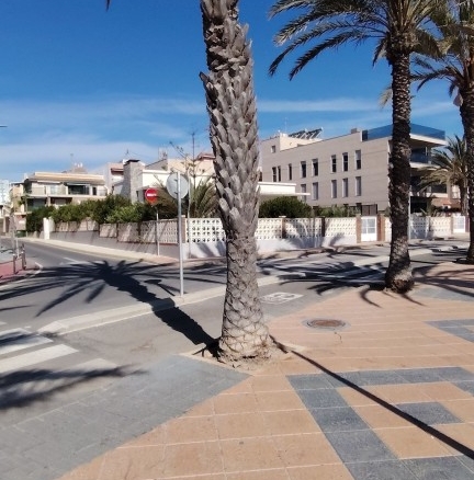 Imagen 1 de Piso en Venta en Pilar De La Horadada Alicante